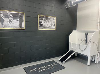 Pet spa